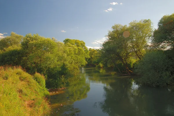 stock image Silence on river