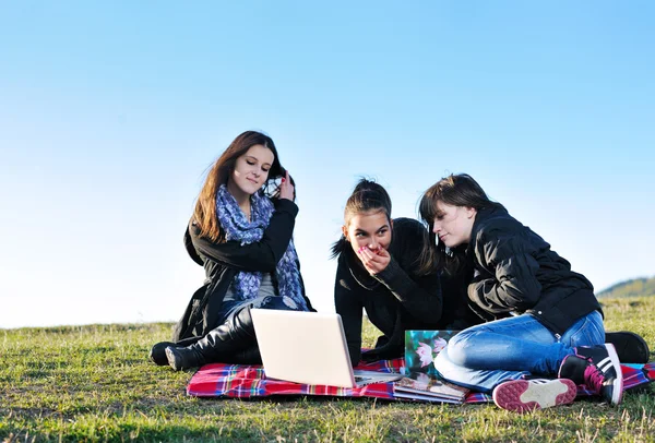 Groep van tieners werken op laptop outdoor Stockafbeelding