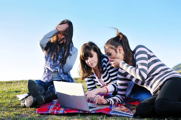 Groep van tieners werken op laptop outdoor Rechtenvrije Stockafbeeldingen