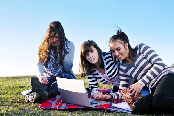 Groep van tieners werken op laptop outdoor Rechtenvrije Stockfoto's