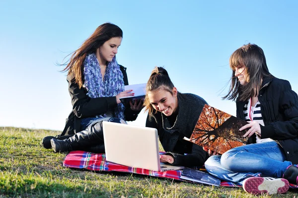 Groep van tieners werken op laptop outdoor Stockfoto