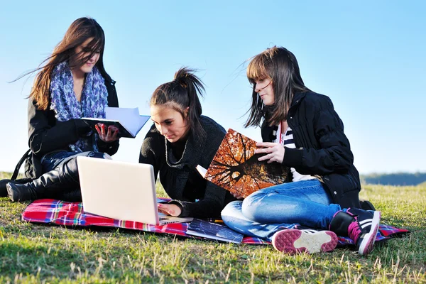 Groep van de tieners hebben plezier outdoor Stockfoto