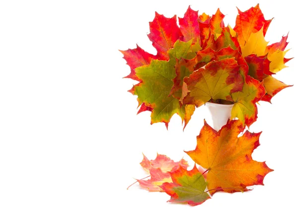 Autumn maple leaves in vase — Stock Photo, Image