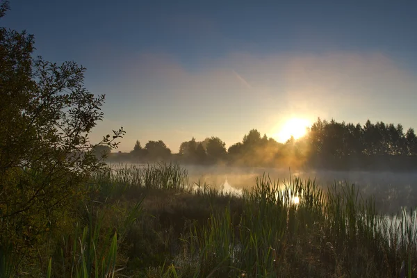 Beautiful sunrise on lake — Stock Photo, Image