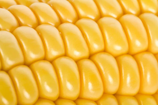 Macro shot de milho maduro — Fotografia de Stock