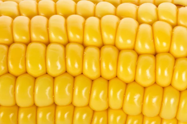 Макро-кадр спелой кукурузы — стоковое фото