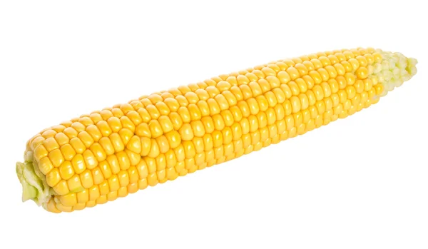 Крупный план спелых кукуруз — стоковое фото
