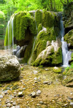 Beautiful waterfall in forest clipart