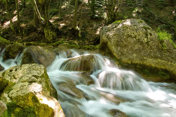 Rzeka strumień w lesie — Zdjęcie stockowe
