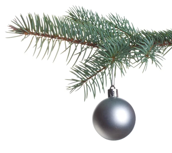 Silver ball on fir branch — Stock Photo, Image