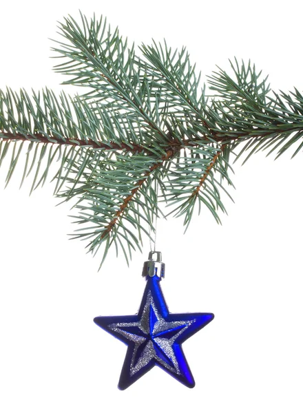 Estrela azul em ramo de abeto — Fotografia de Stock
