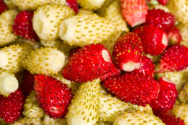 Wild strawberries background — Stock Photo, Image