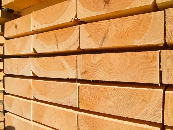 Pernos de madera fresca — Foto de Stock