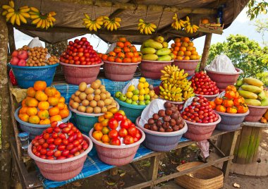 Open air fruit market clipart