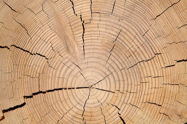 Leichte Holzkonstruktion — Stockfoto
