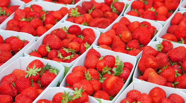 stock image Fresh ripe strawberries