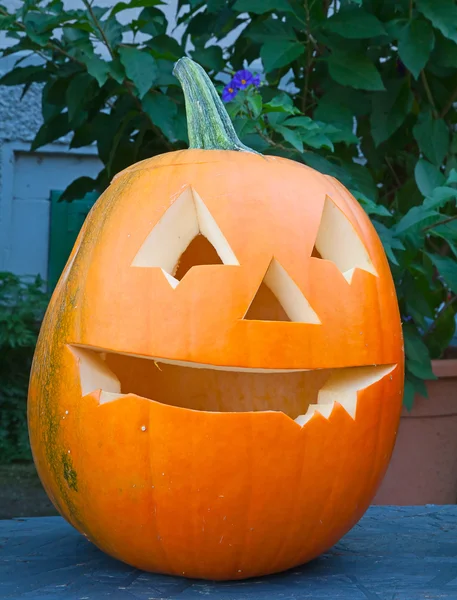 stock image Jack-o-lantern