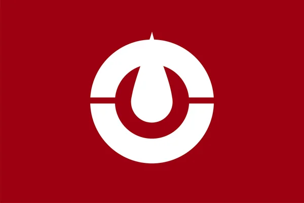 Kochi zászló — Stock Fotó