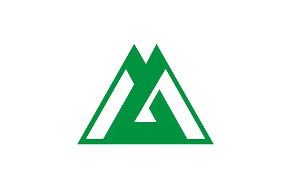 Toyama vlajka — Stock fotografie