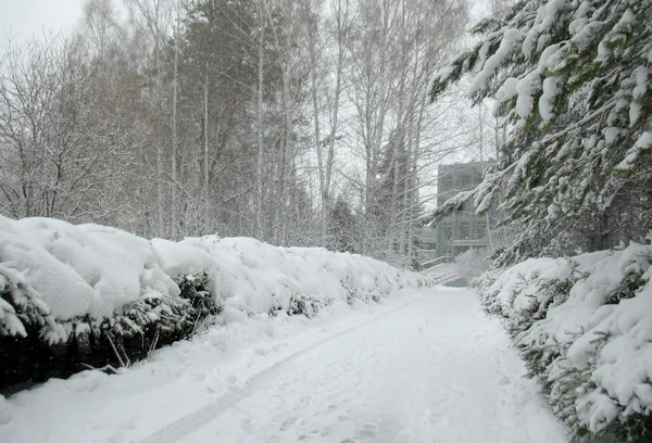 stock image Winter alley and road