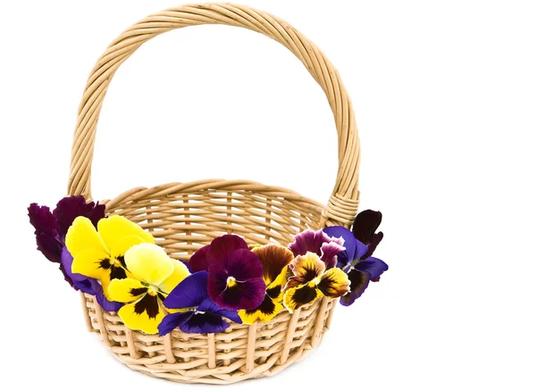 Basket decorated with flowers. — Stock Photo, Image