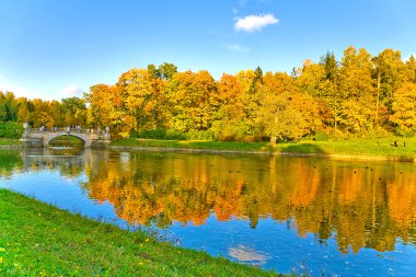 eski köprünün sonbahar Park