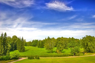 Green park under blue sky with clouds clipart