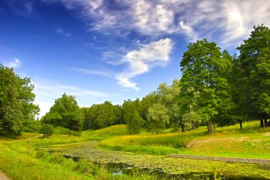 Overgrown pond landscape clipart