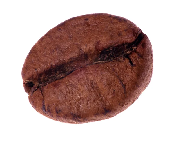 单一咖啡豆上白色隔离 — 图库照片