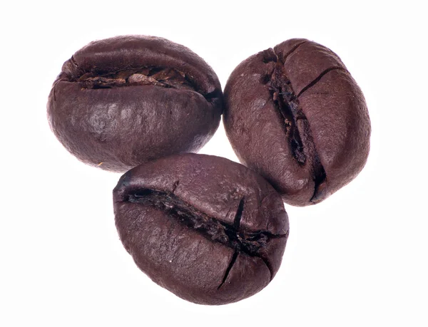Tres granos de café en blanco —  Fotos de Stock