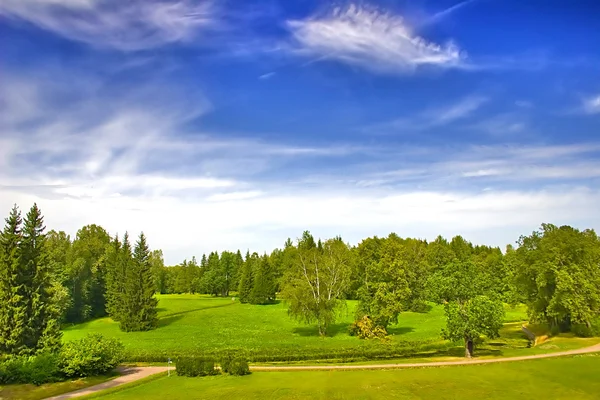 Καταπράσινο πάρκο κάτω από το γαλάζιο του ουρανού με τα σύννεφα — Φωτογραφία Αρχείου