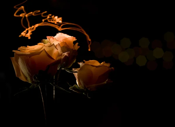 ライトの 3 バラ — ストック写真