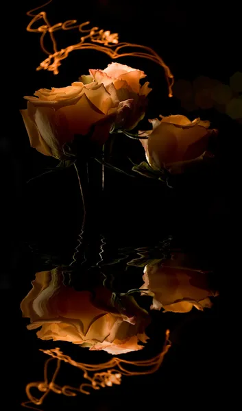 Τρεις τριαντάφυλλα στο σκοτάδι με αντανάκλαση — Φωτογραφία Αρχείου