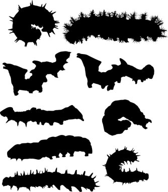 nine isolated caterpillar silhouettes clipart