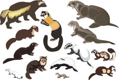 fur animals collection isolated on white clipart