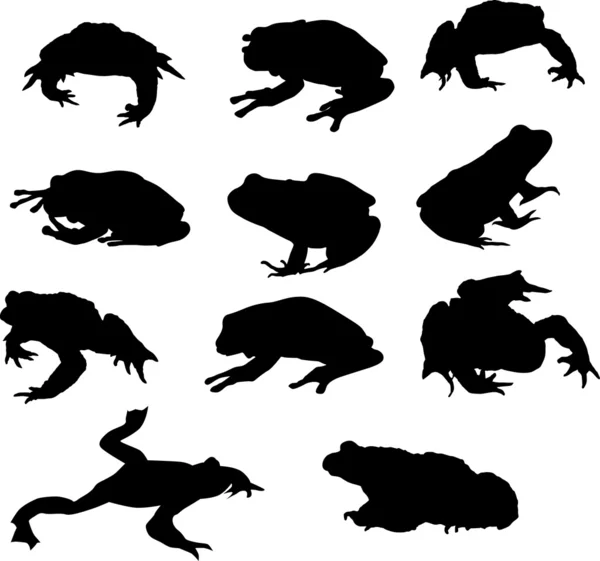 Одинадцять ізольованих силуетів жаби — стоковий вектор
