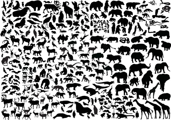Enorme colección de animales siluetas — Vector de stock