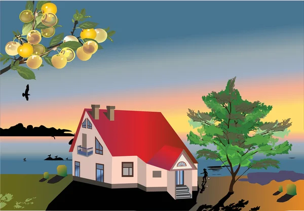 Cottage and plums — Stock Vector