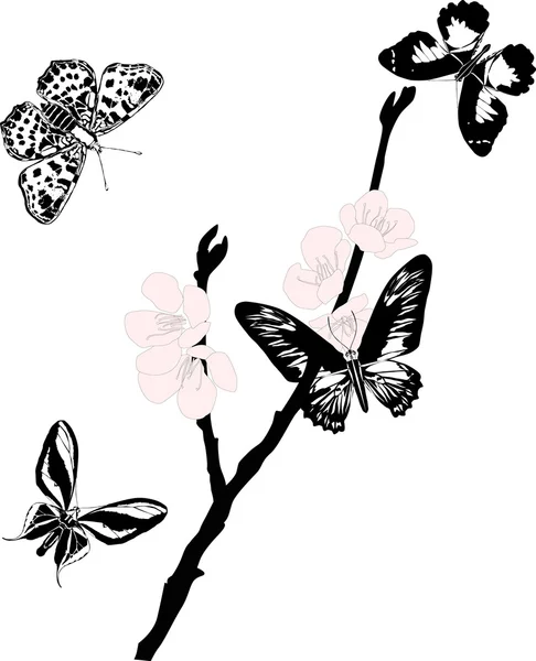 Flores sakura rosa e borboletas pretas — Vetor de Stock