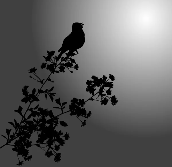 Квіткова гілка і птах на темному фоні — стоковий вектор
