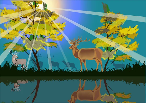 Ciervos en bosque amarillo cerca del lago — Vector de stock