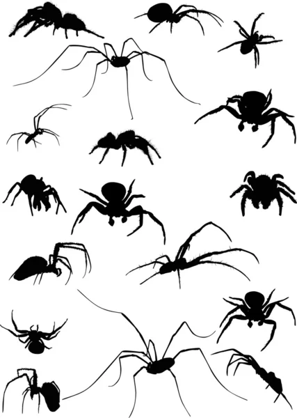 Set of seventeen spider silhouettes — Stock Vector
