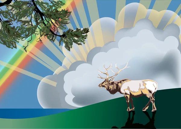 Deer in forest under rainbow — Stock Vector