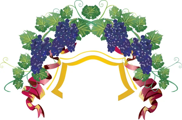 Vine with dark grapes frame — Stock Vector