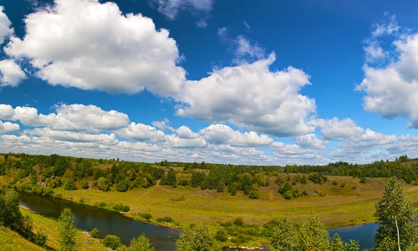 Panorama van rivier en bos — Stockfoto