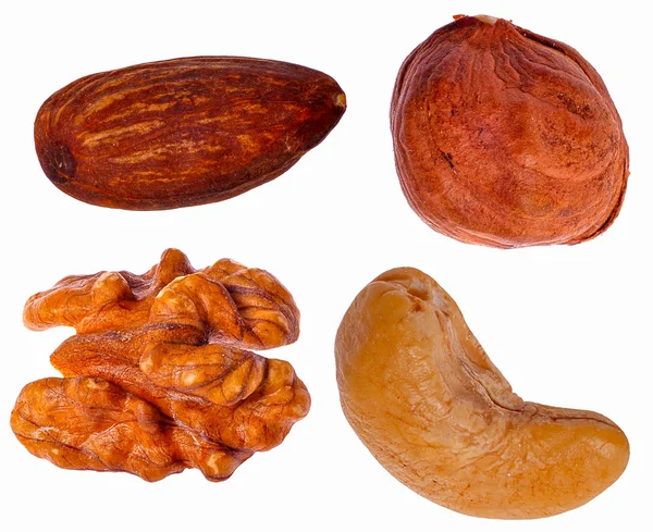 Uppsättning av fyra olika nötter — Stockfoto