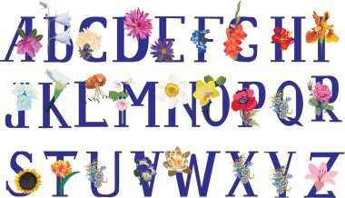 isolated flower alphabet clipart