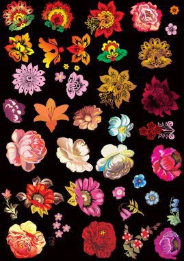 floral conventionalized elements on black clipart