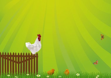 chickens in green grass illustration