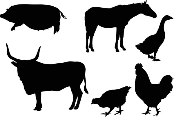 Oiseaux et animaux de ferme isolés — Image vectorielle